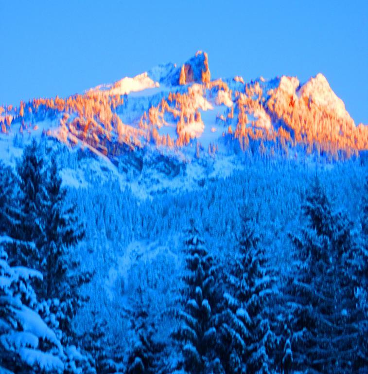 Gaestehaus Alpina マウラッハ エクステリア 写真